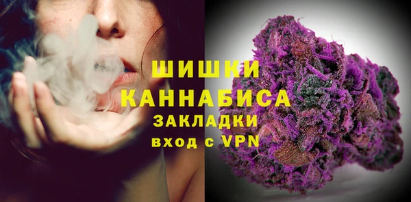 молекула духа Алзамай