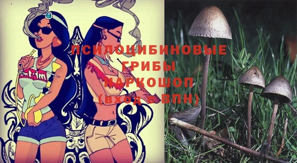 молекула духа Алзамай