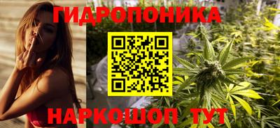 гашик Камышлов