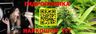 гашик Кандалакша
