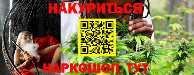 гашик Камышлов