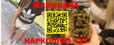 гашик Камышлов