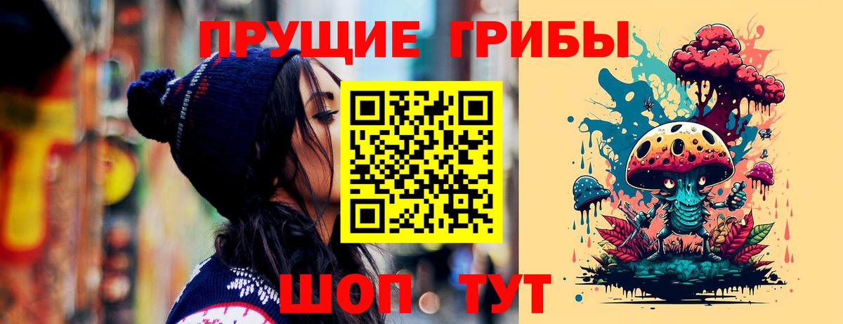 Псилоцибиновые грибы Psilocybe Краснознаменск